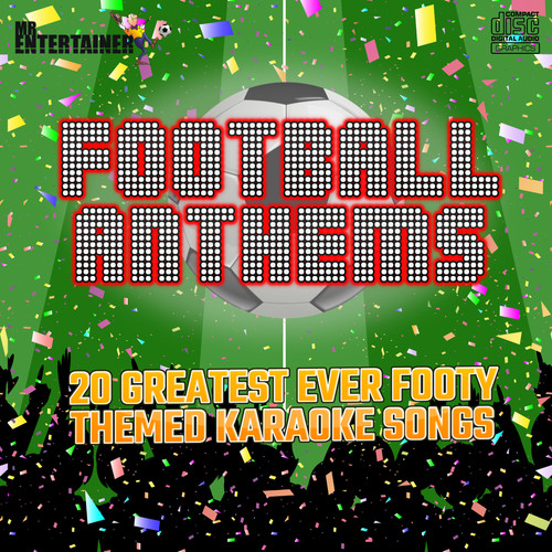 Entertainer karaoke - entertainer,